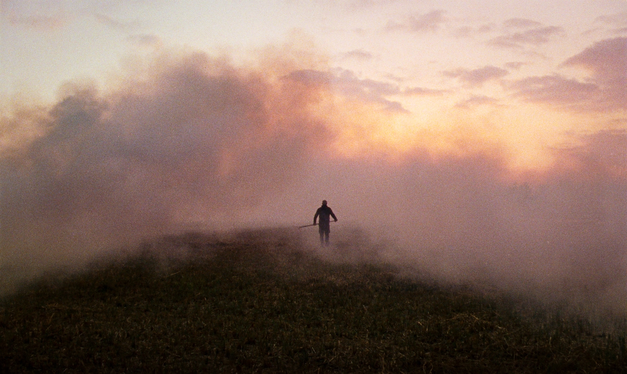 Rietland en Schokland